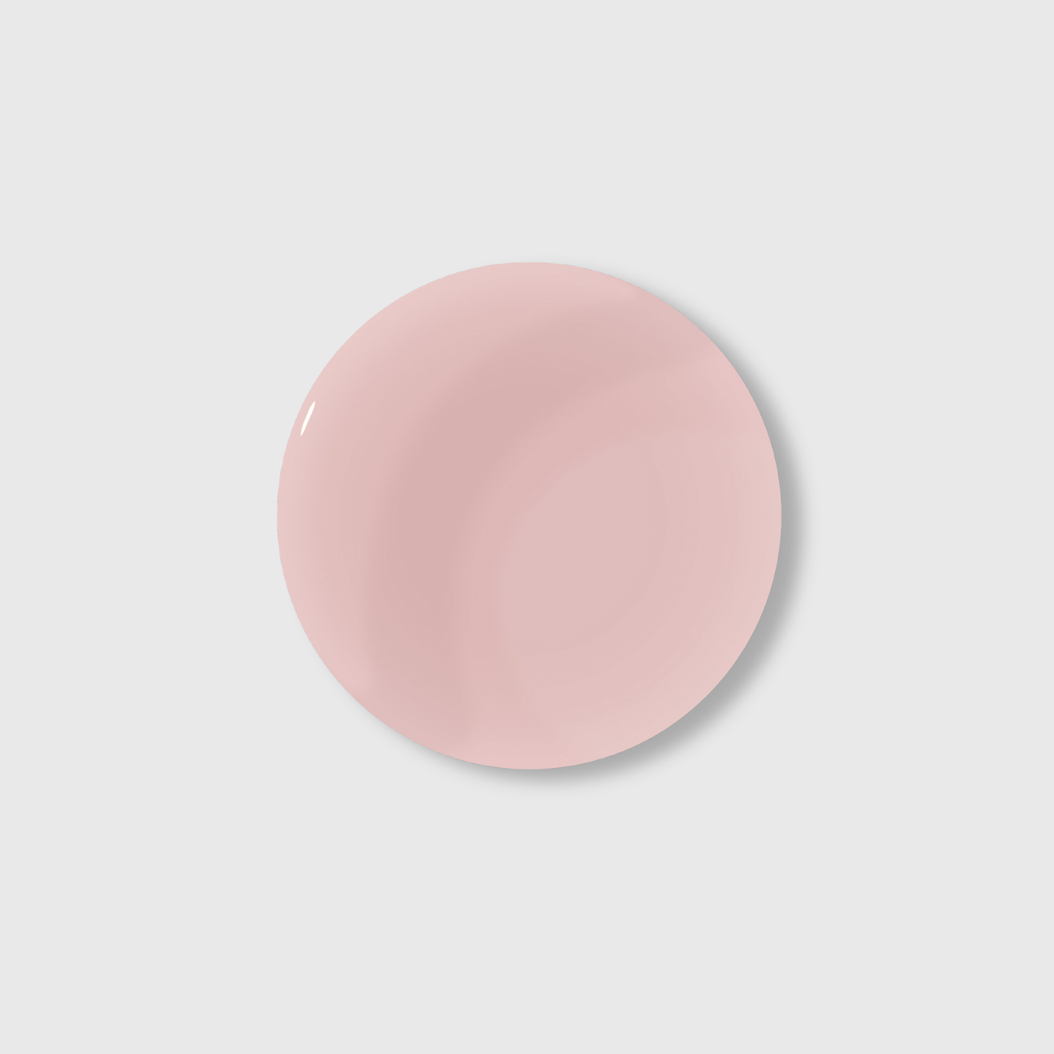 GUMMY BASE, BISCUIT