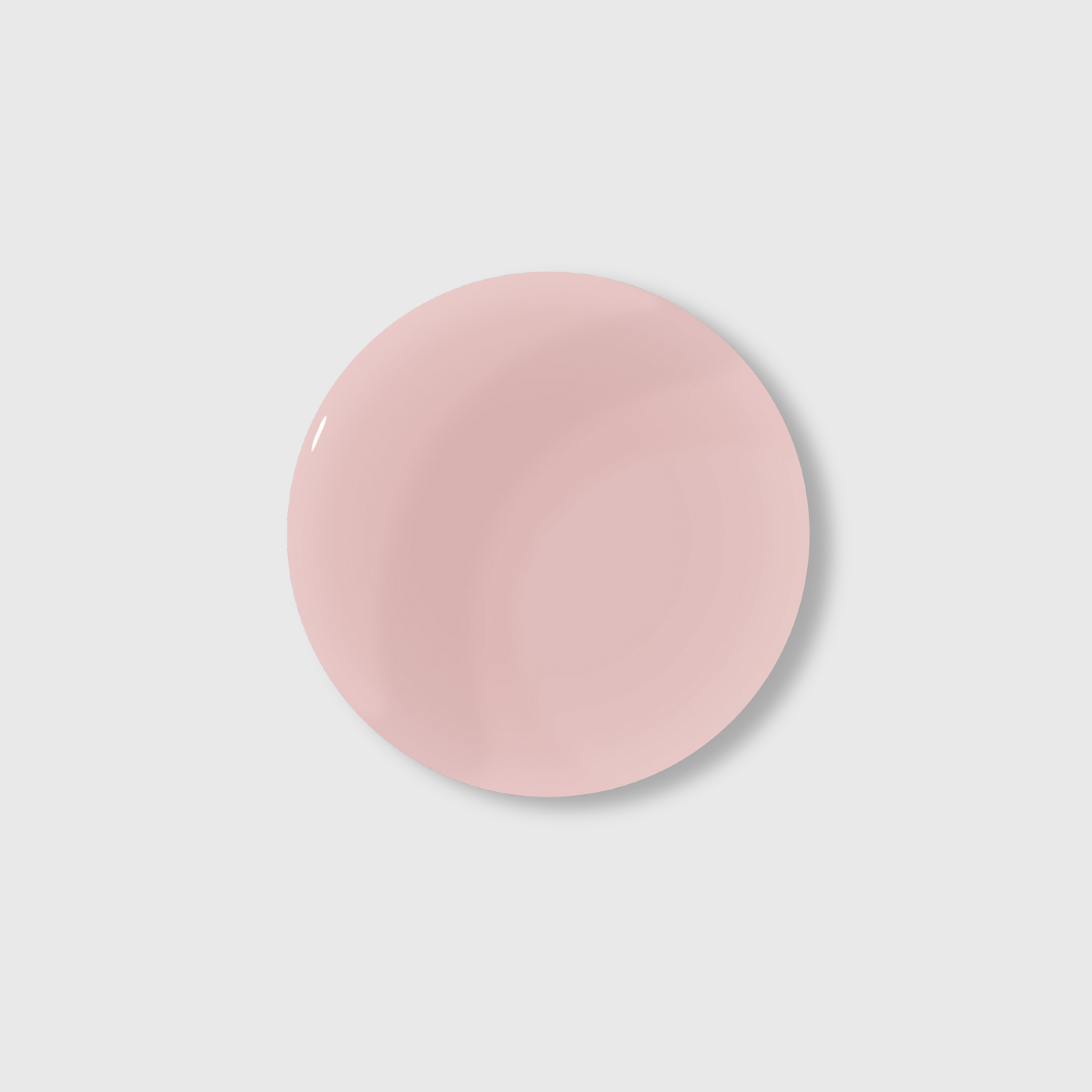 GUMMY BASE, BISCUIT